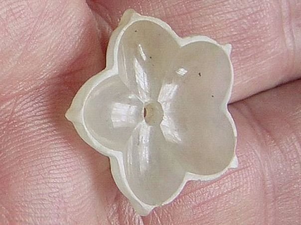 Flower 119 - (3626)